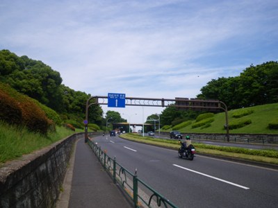 都道赤坂杉並線 代々木公園
